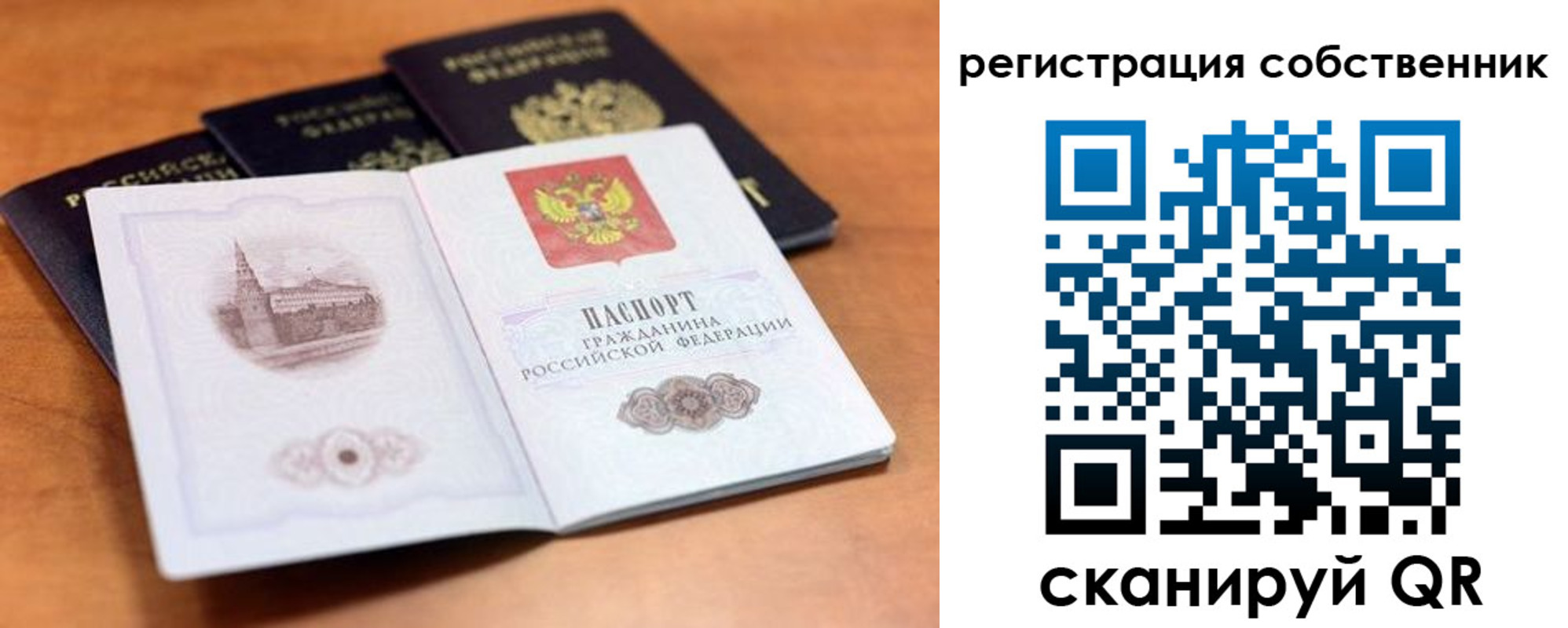 прописка поиск в Алексеевке
